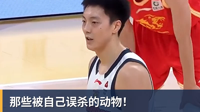 华体会体育那些被自己误杀的动物！